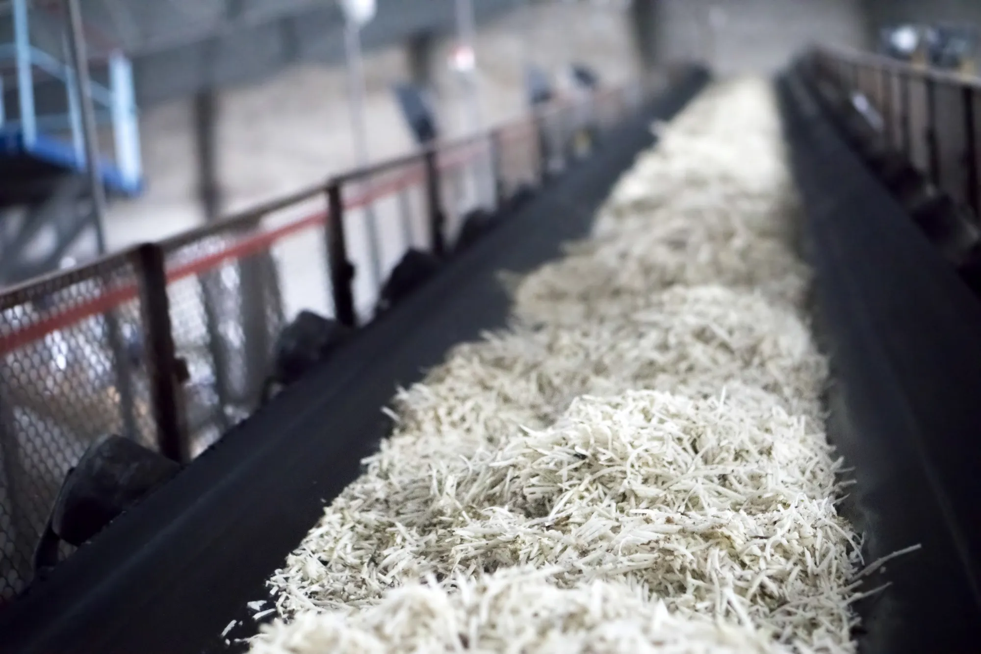 Sugar beet husks at a refinery in Ukraine.