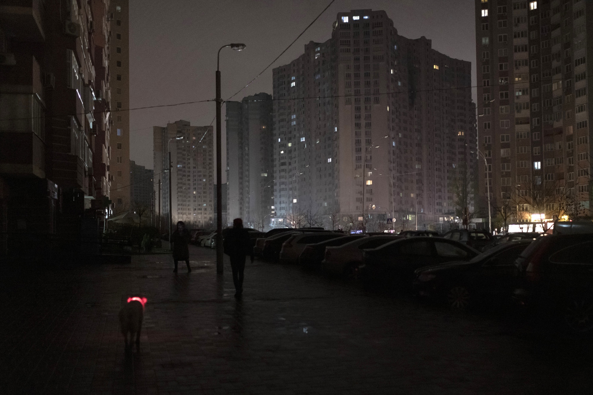 A dog with a lit up collar walks in a street during a blackout in Kyiv, on Nov. 16.