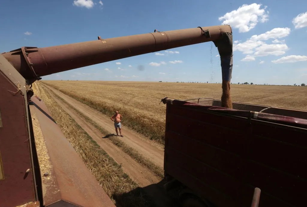Wheat harvest on a field near Novosofiivka village, Mykolaiv region, Ukraine.&nbsp;