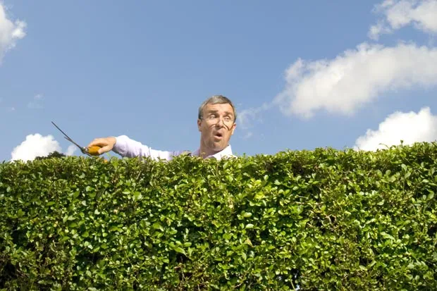 Looking over the hedge to see how the neighbors are doing. Mostly, not so well.
