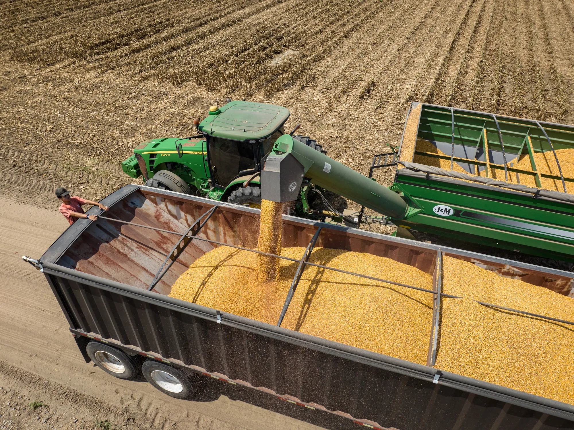 A corn harvest in Mississippi, US.