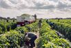 A Trump-Voting Farmer's Warning: Mass Deportations Would Be a Disaster
