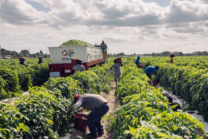 A Trump-Voting Farmer's Warning: Mass Deportations Would Be a Disaster