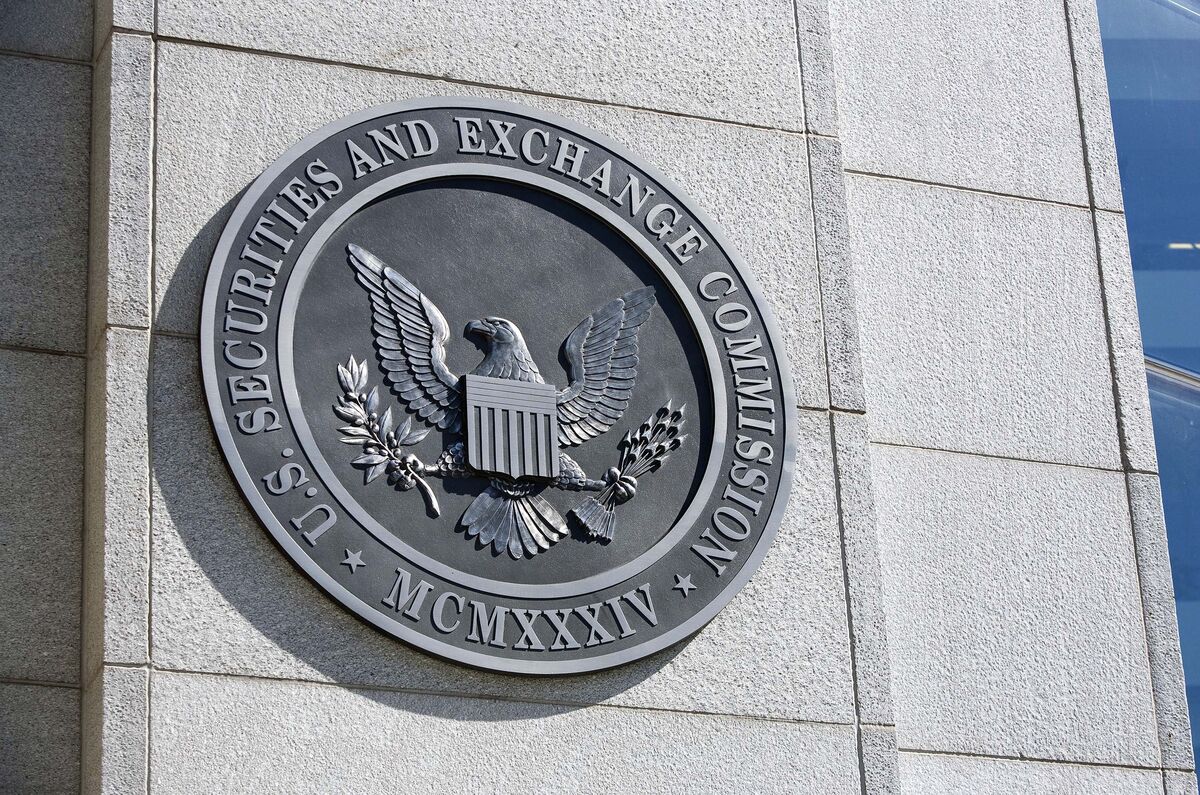 Activists Dealt Disclosure Blow by SEC Over Investors Backing Campaigns