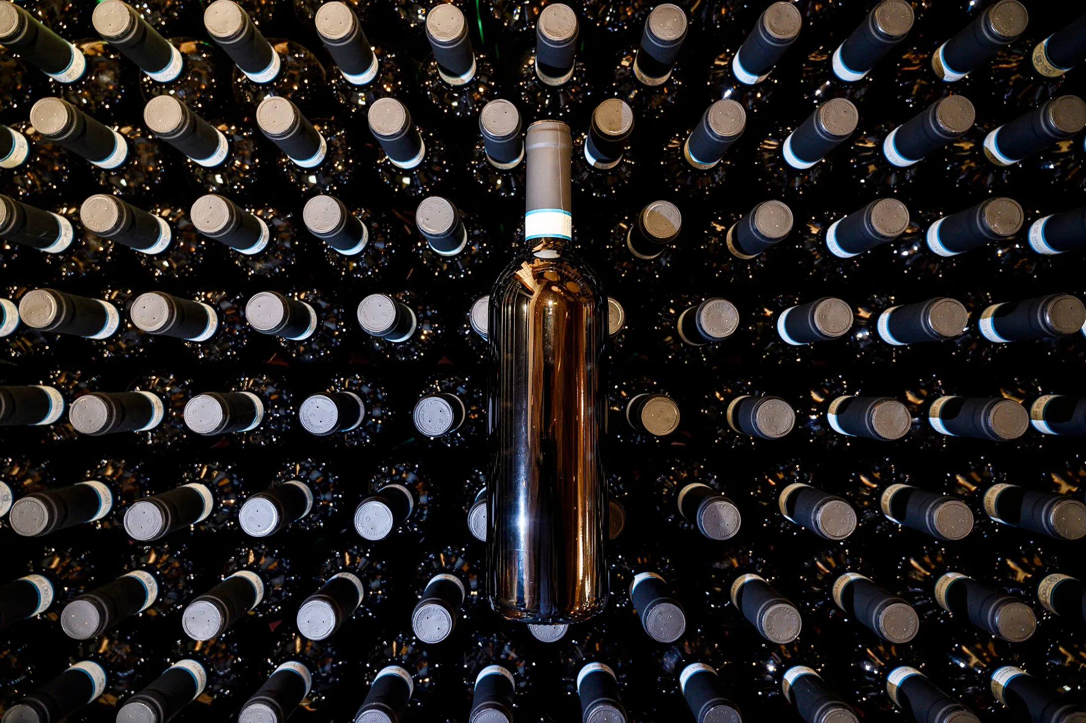 Fuel price pressures are hitting growers and winemakers at the same time as Trump’s tariffs.