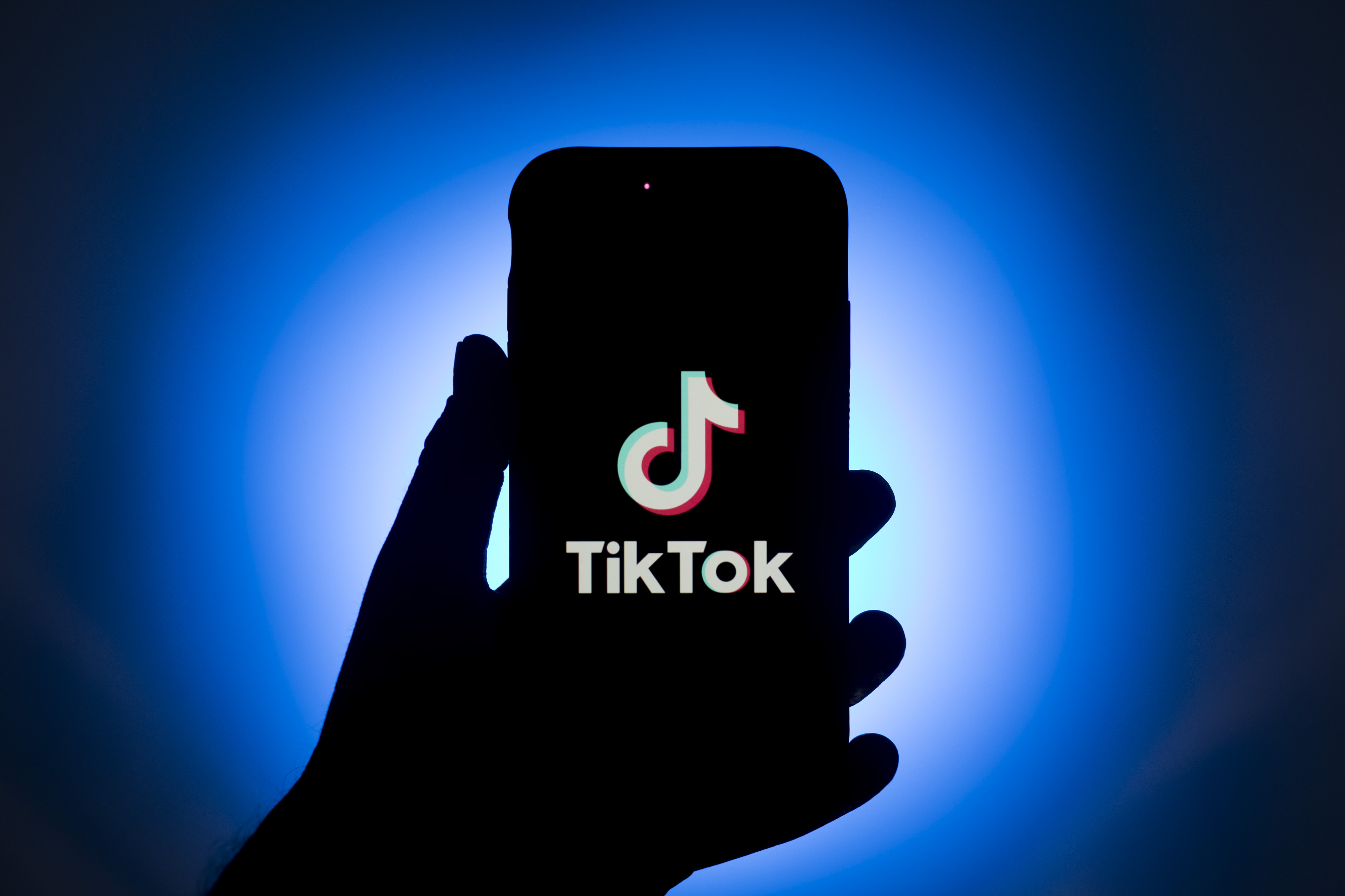 Tiktok logo -  France