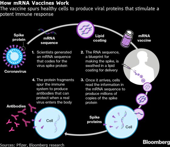MRNA Vaccine Access Carves Up World Into Haves and Have-Nots