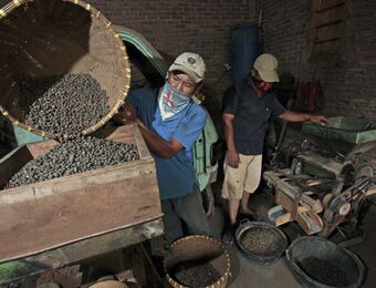 relates to Coffee Exports From Indonesia Falling as World Cup Boosts Demand