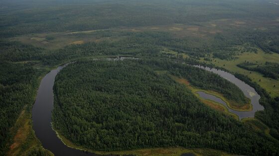 Russia Wants to Use a Forest Bigger Than India to Offset Carbon