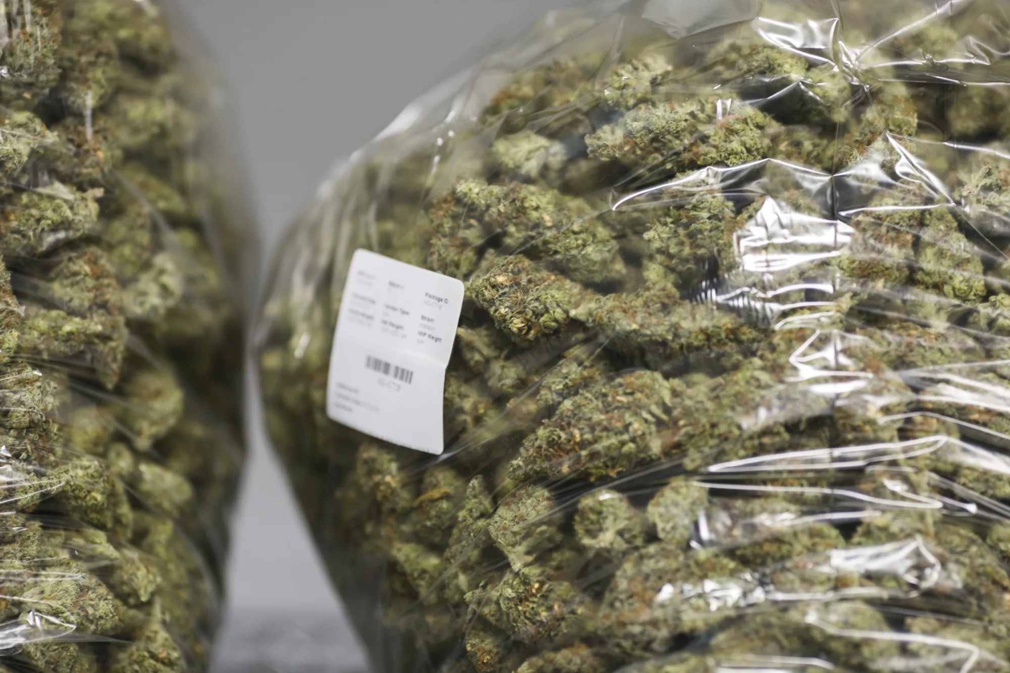 Interest groups are resurrecting long-sought goals such as the cannabis industry’s bid for access to banking.