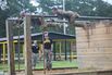 First Female Soldiers To Graduate From Army Ranger School