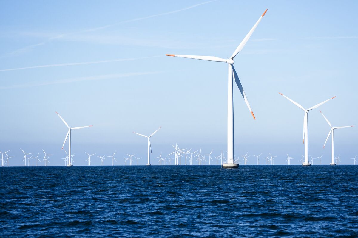 New York Hedge Fund Expands Bet on Orsted After Trump’s Wind Farm Halt Triggers Record Low