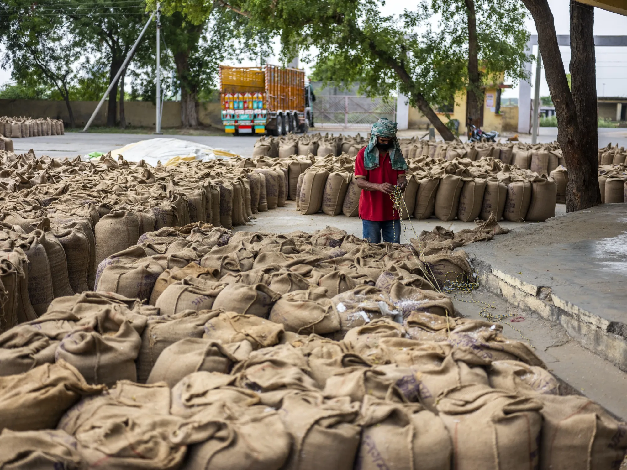 Sacks of wheat at the Dankaur Grain Market in the Gautam Buddh Nagar district of Uttar Pradesh, India.&nbsp;