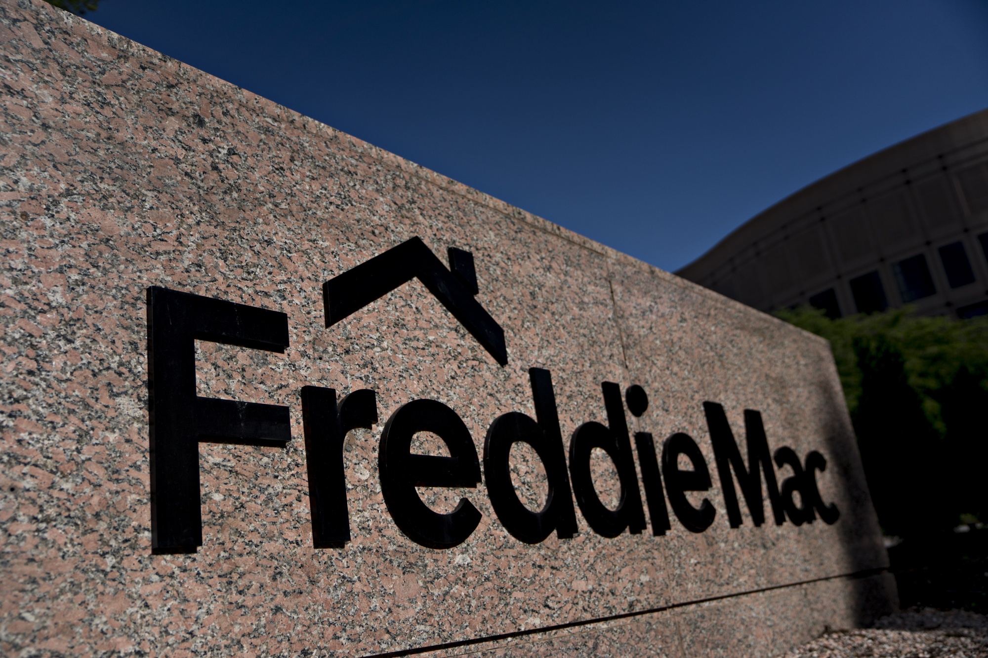 freddi mac dates for applying university job program