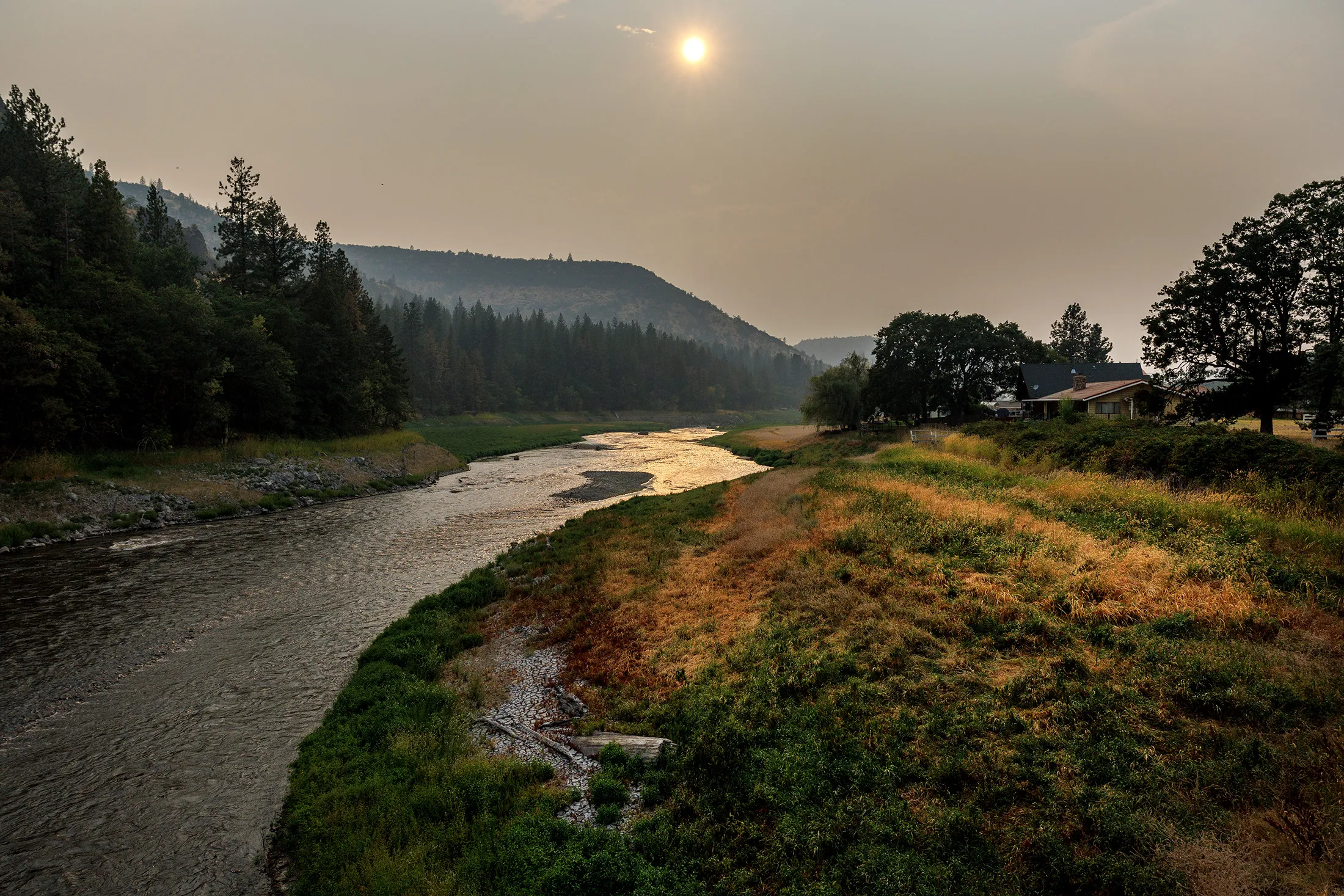 Native&nbsp;vegetation grows along a historic channel of the Klamath River in Copco Lake, California, on Aug. 14.