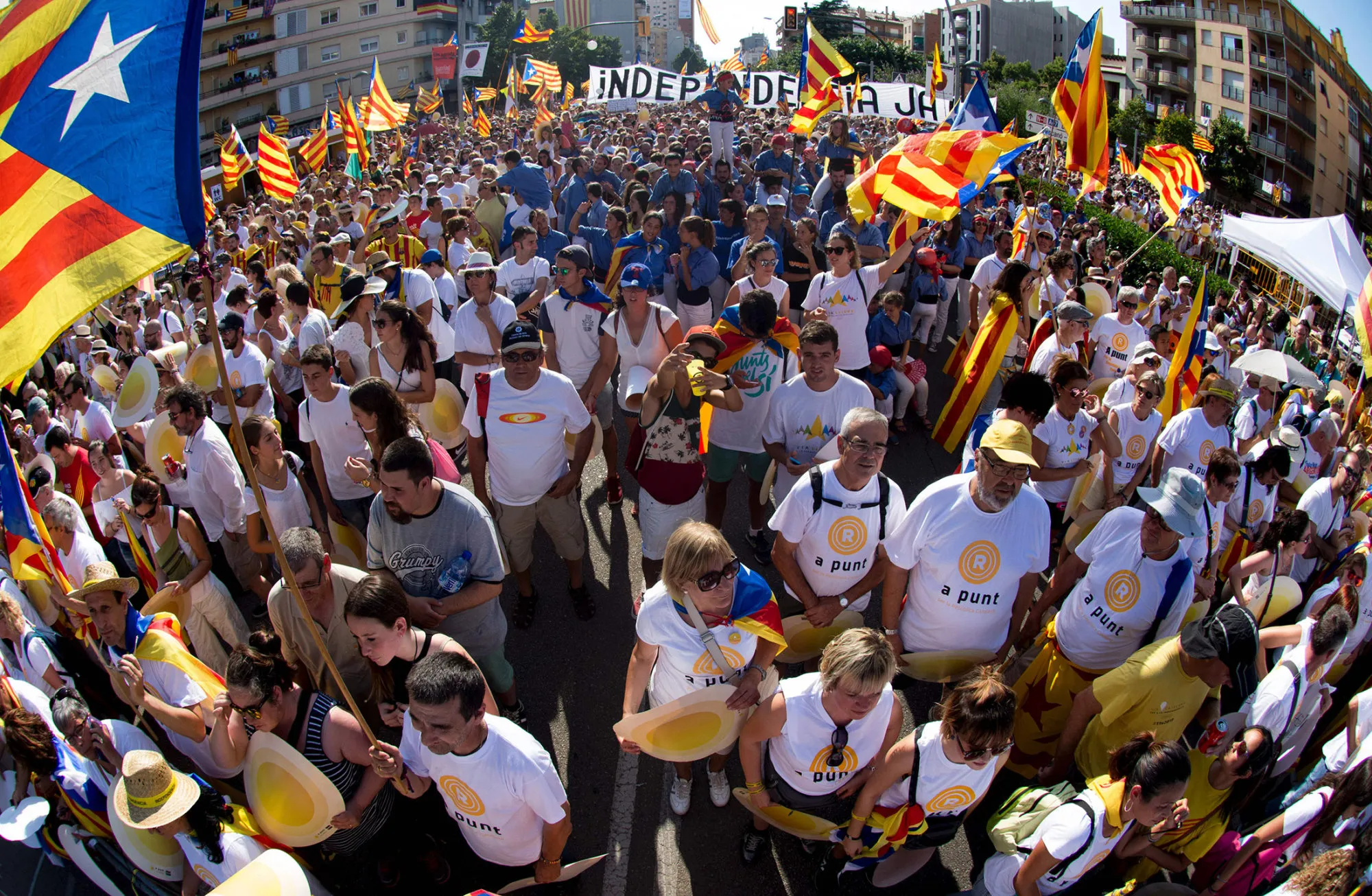 People wave pro-independence Catalan flags as they demonstrate in Barcelona, on Sept. 11, 2016.
