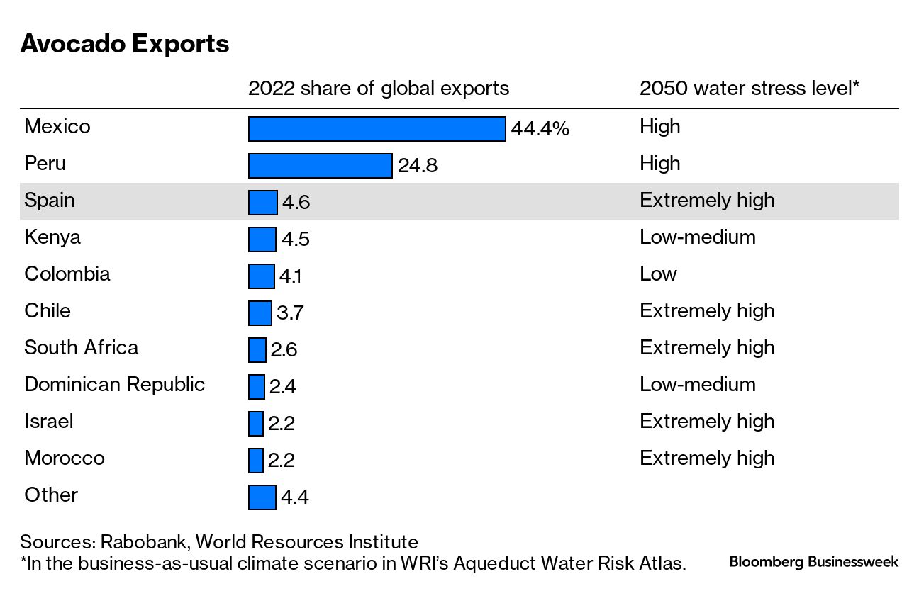 Spain's Failing Avocado Harvest Is a Warning for the Rest of the World's  Supply