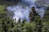 MEXICO-DRUGS-MARIJUANA-PLANTATION