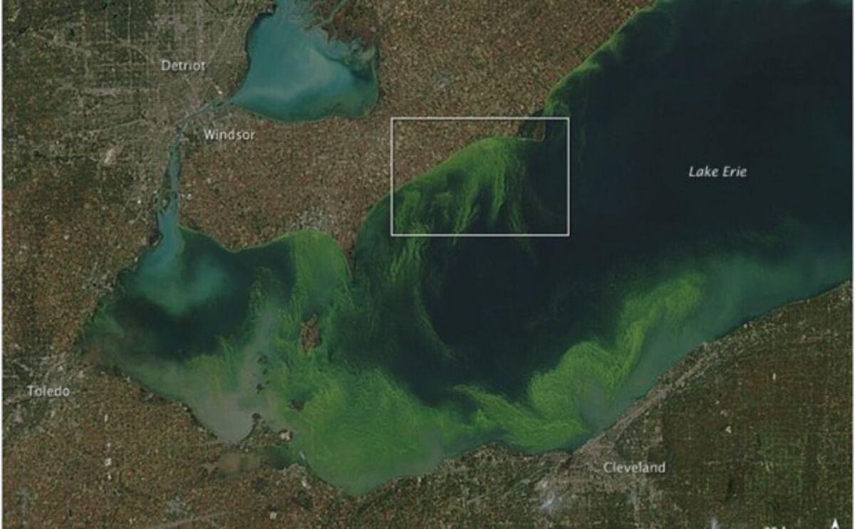 Средняя глубина озера эри. Озеро Эри США. Кливленд озеро Эри. Великие американские озера эвтрофикация. Загрязнение великих озер.