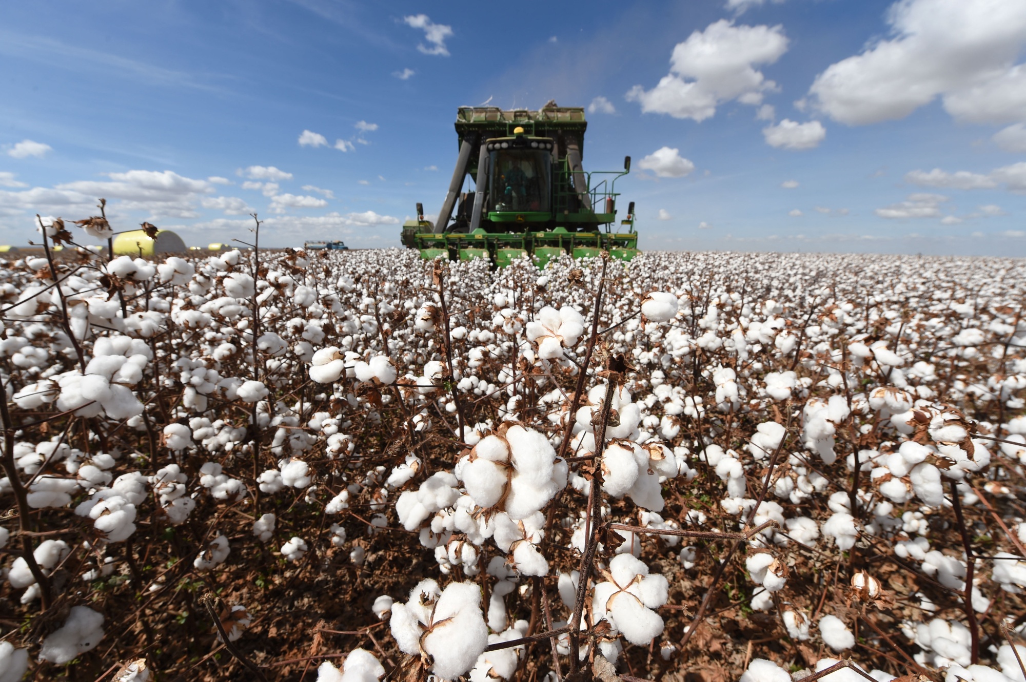 Brazil Inches Closer to Unseating US as Top Cotton Exporter