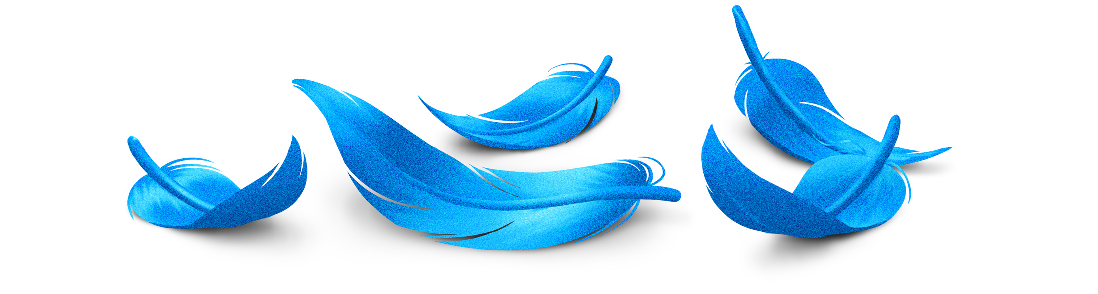 Illustration of blue feathers on the ground