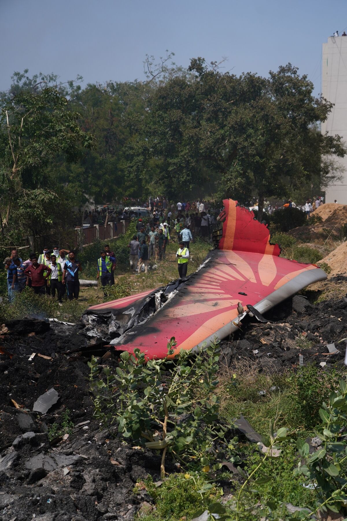Simulation of Crashed Air India Jet Puts Focus on Technical Flaw