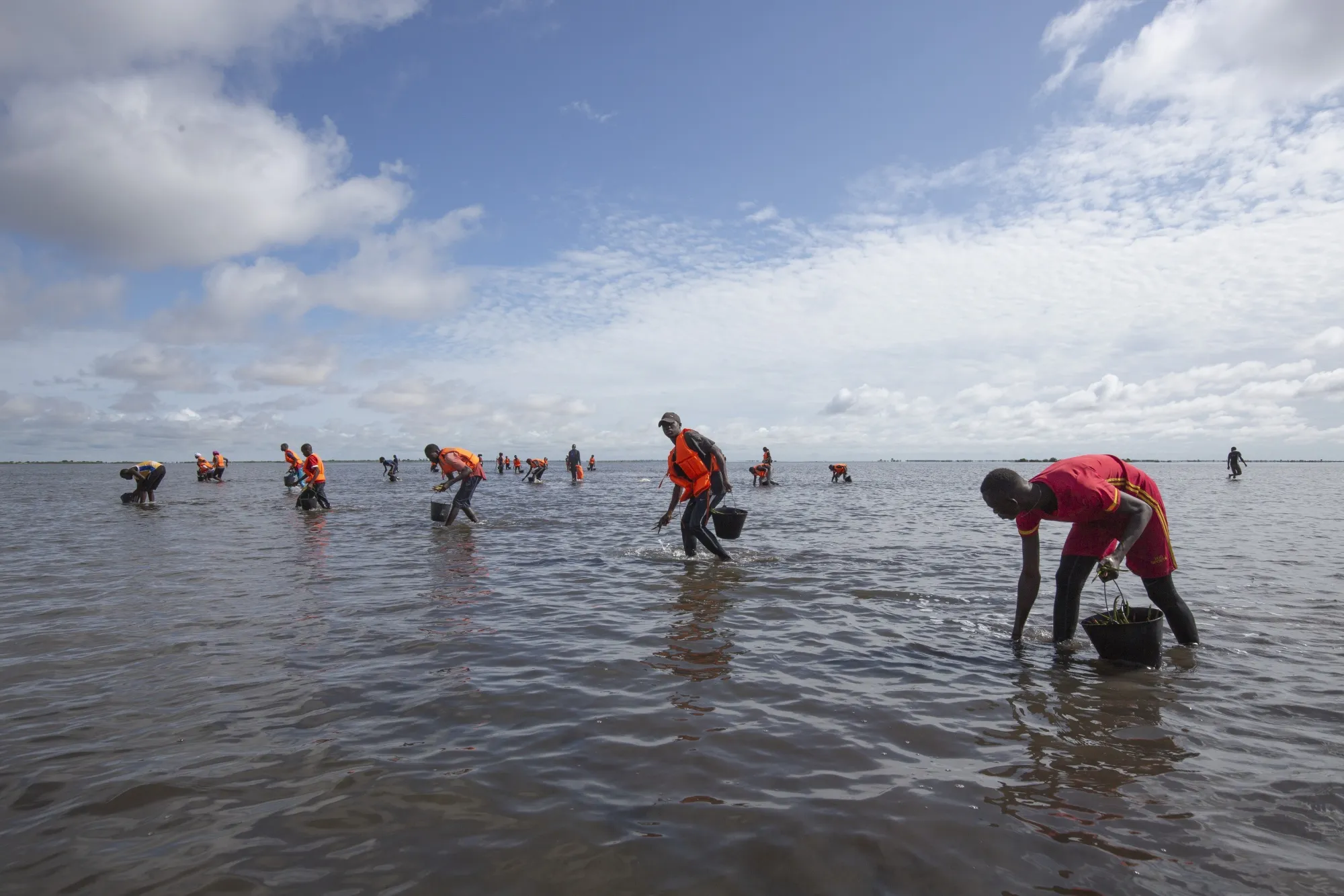 Shell Silently Abandoned Its $100 Million-a-Year Plan to Offset CO2  Emissions - Bloomberg