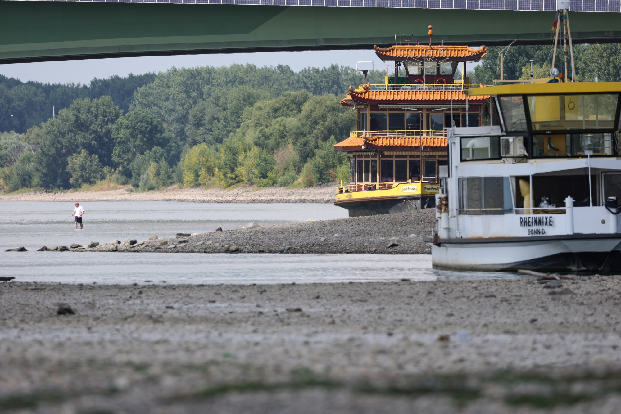 The Rhine River on July 15. Photographer: Andreas Rentz/Getty Images Europe
