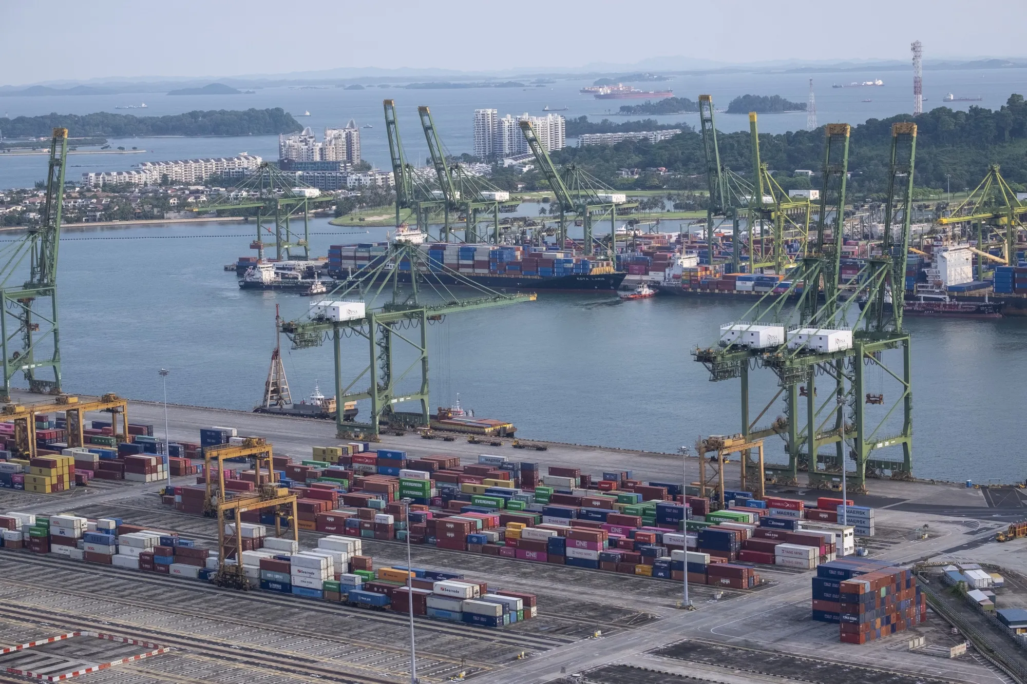 Singapore expects gross domestic product to grow 1%-3% this year, with the outlook largely hinged on a recovery in global demand for goods and a tech upcycle.