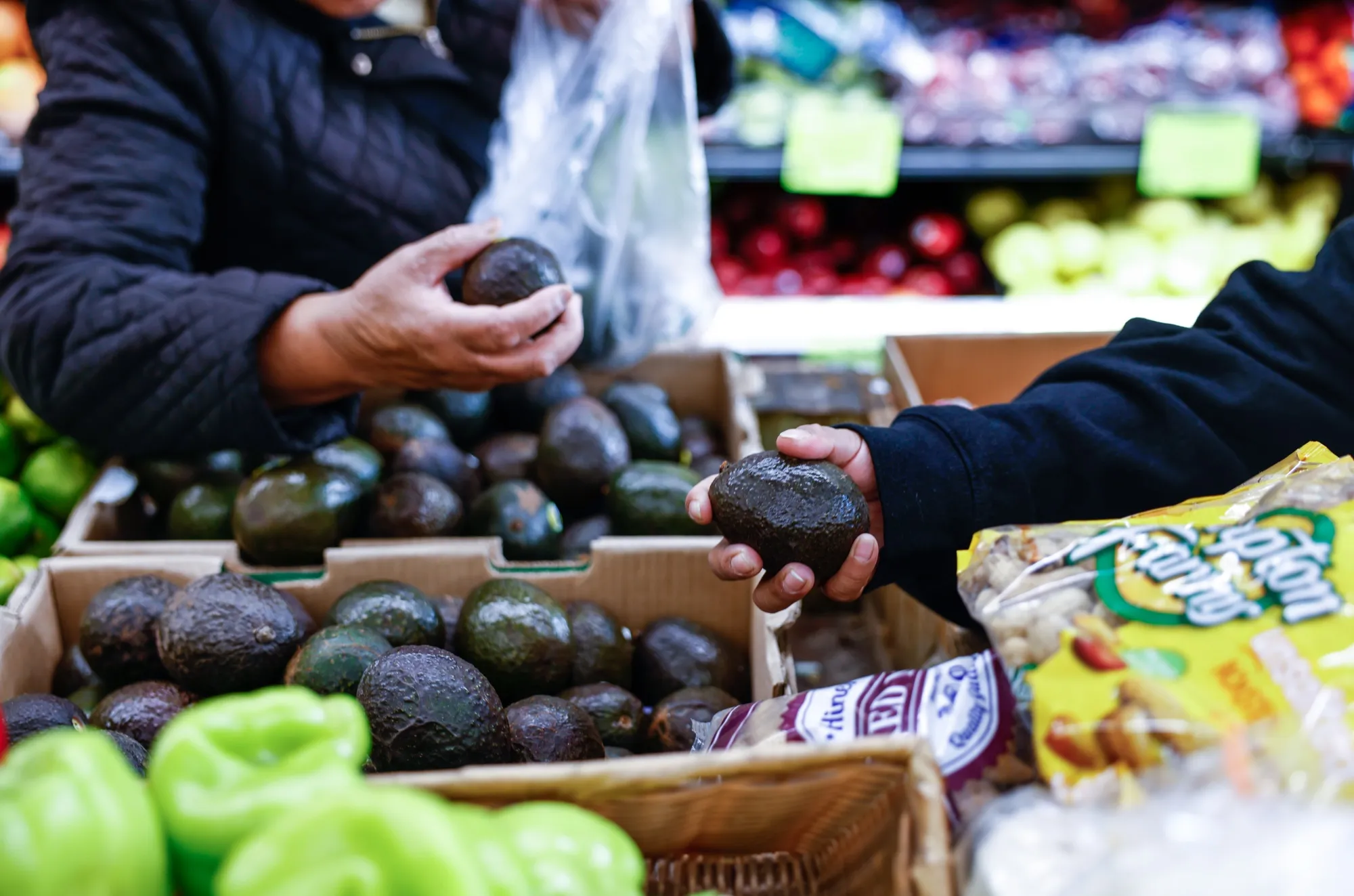 Shoppers select avocados inside a grocery store in the Bronx, New York.
