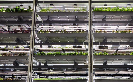 An Amazon Veteran Joins Indoor Farming Startup