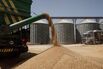 Greek Wheat Harvest As Global Food Threats Are On the Rise