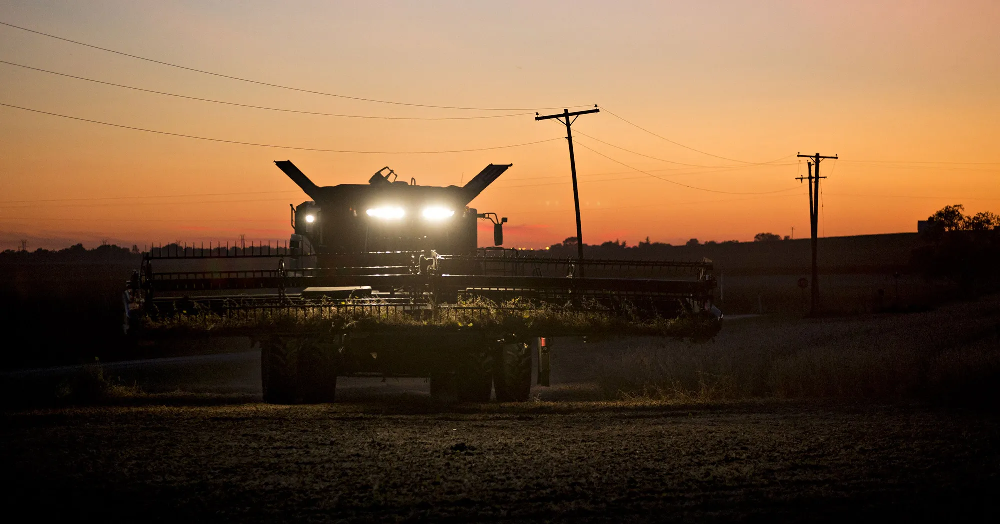 A combine harvester drives through a soybean field at dusk