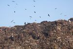 Landfills produce methane when garbage breaks down in the absence of oxygen.