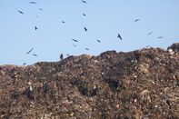 INDIA-ENVIRONMENT-POLLUTION
