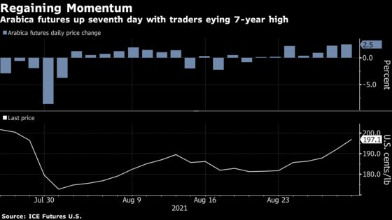 Coffee Surges as Hurricane Snags and Brazil Heat Add to Worries