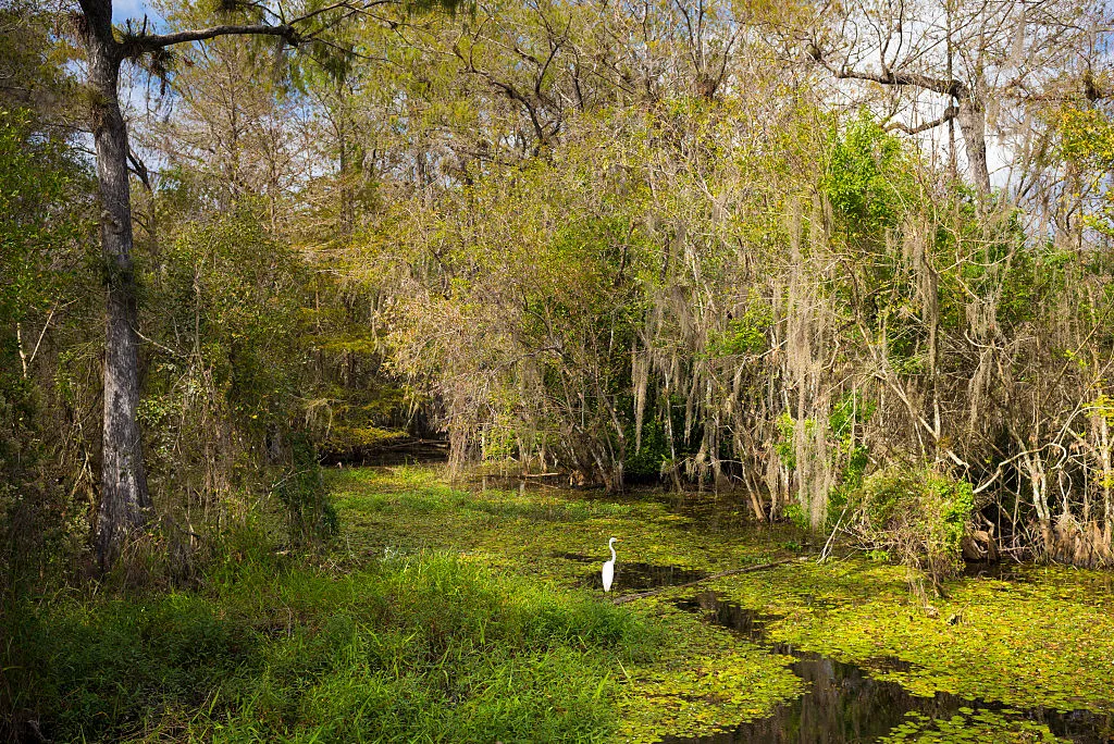 It all came down to a few counties in Florida.
