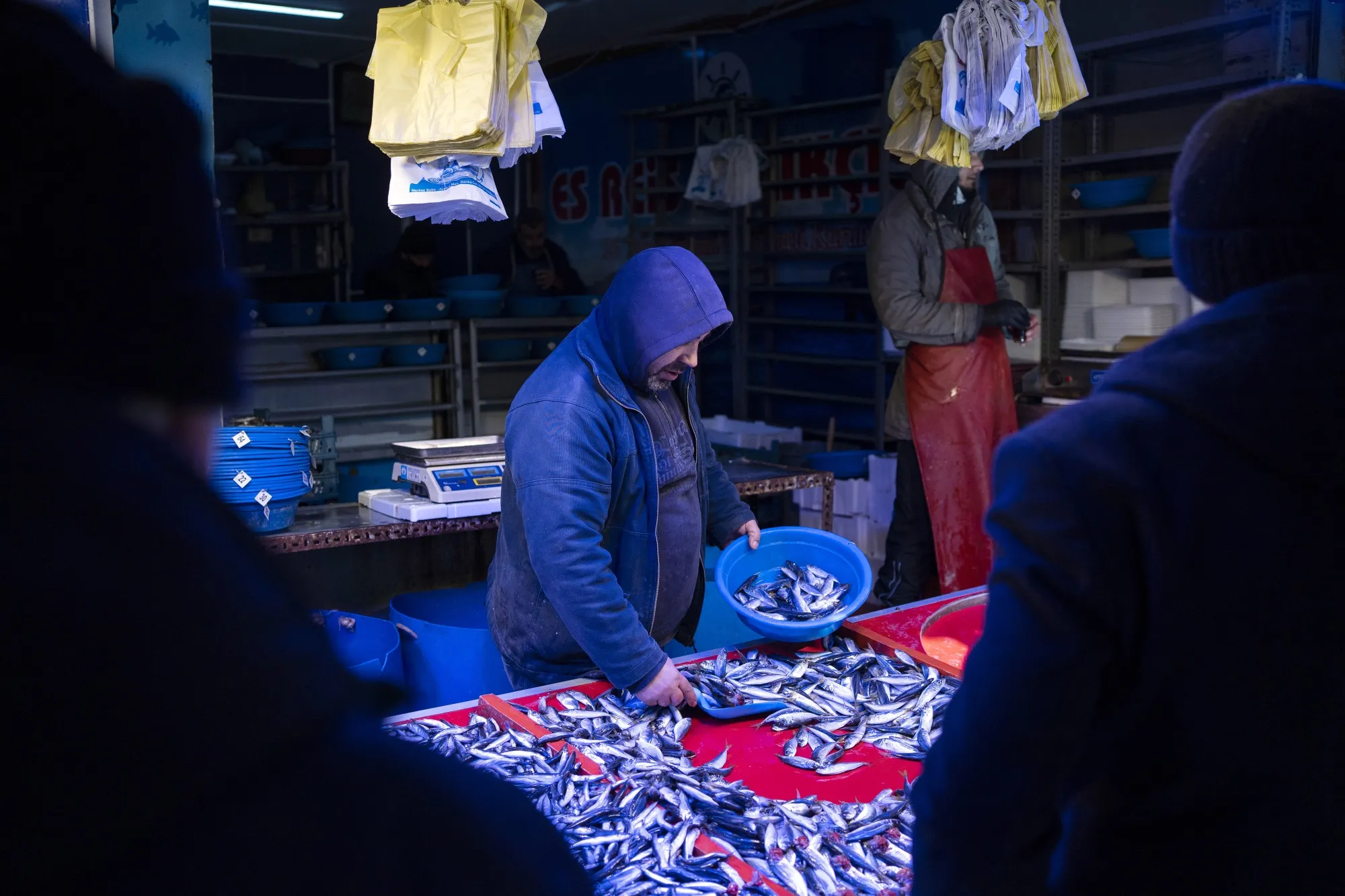 Turkish consumer prices rose an annual 54.4% through February.