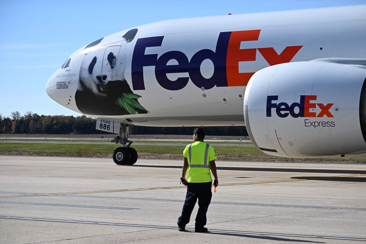 Pandas at National Zoo's in DC Are Returning to China Via FedEx Flight