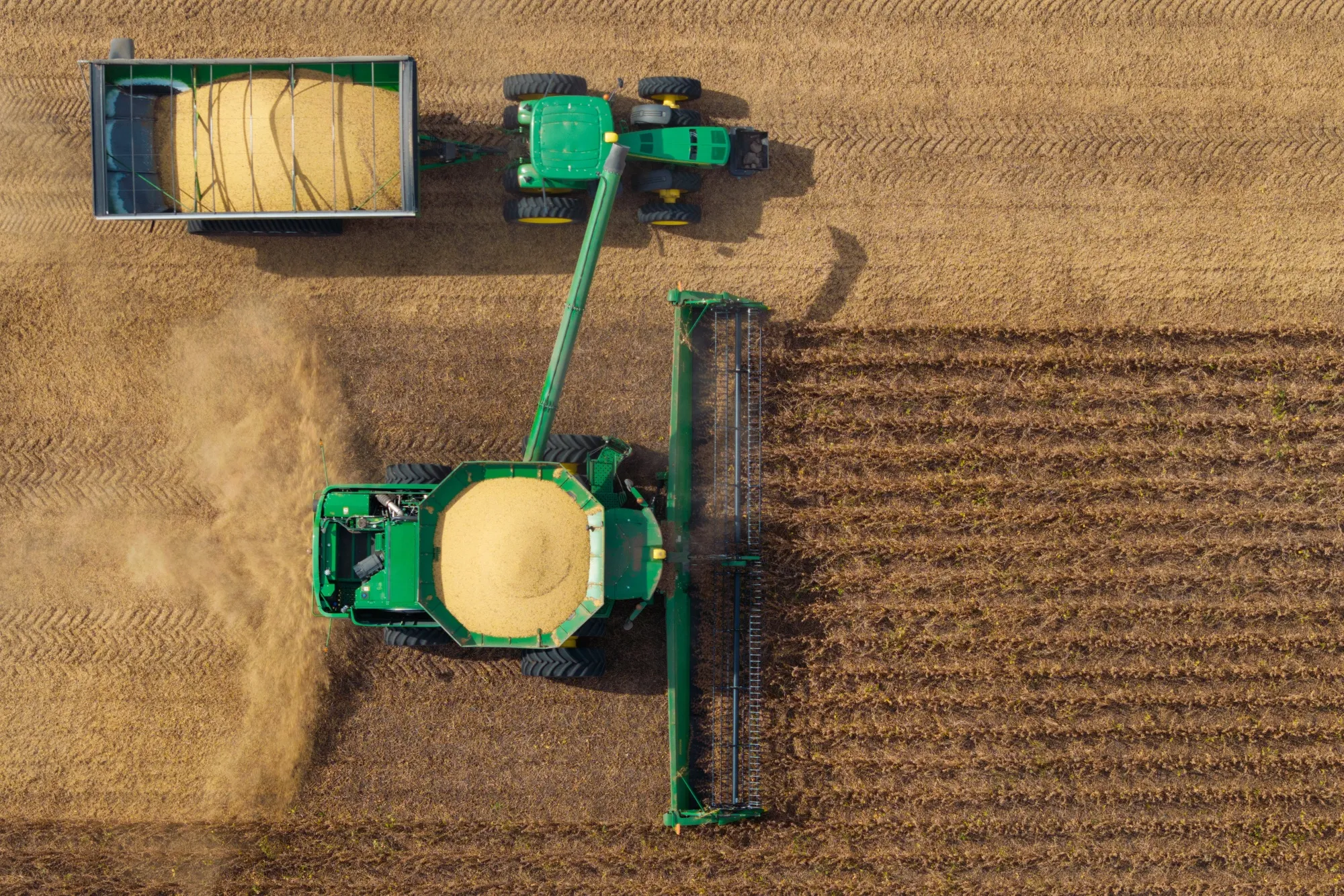 Soybeans are harvested&nbsp;at a farm outside St. Peter, Minnesota, US.