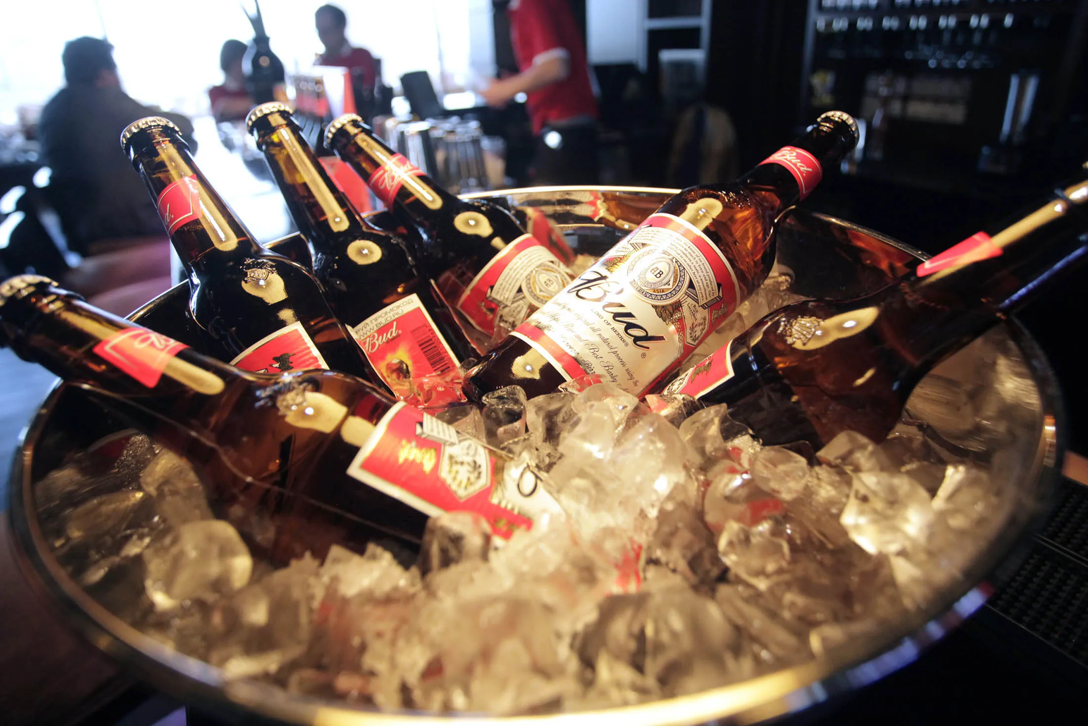 Bottles of Budweiser beer sit on ice.

