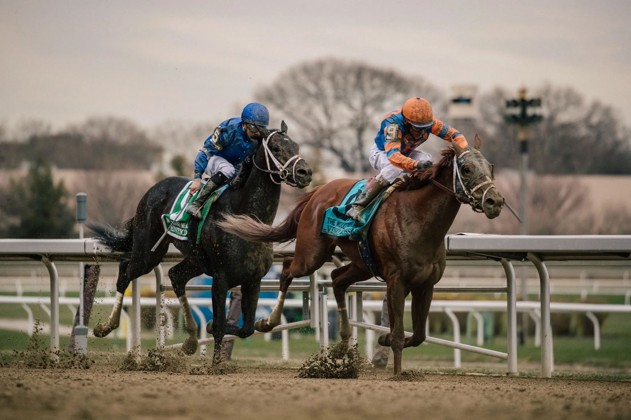 Todd Pletcher's Vino Rosso (right) passes&nbsp;Enticed during the Wood Memorial at Aqueduct. The two will meet again in the Kentucky Derby.