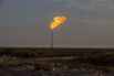 Flares As Natural Gas Tumbles After 'Momentum Killer' U.S. Storage Gain