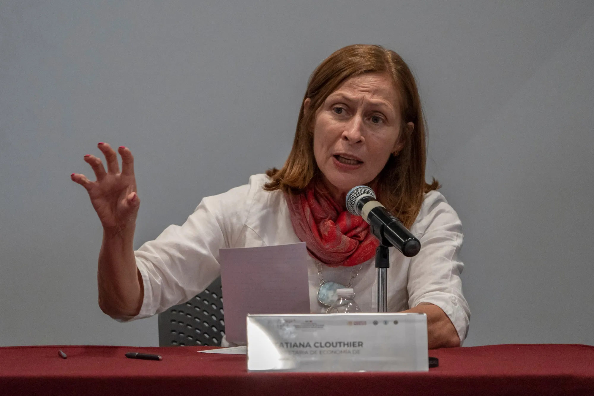 Former Economy Minister&nbsp;Tatiana Clouthier&nbsp;