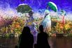 Immersive Art Exhibits Are Money-Minting Machines, and Monet Is Next
