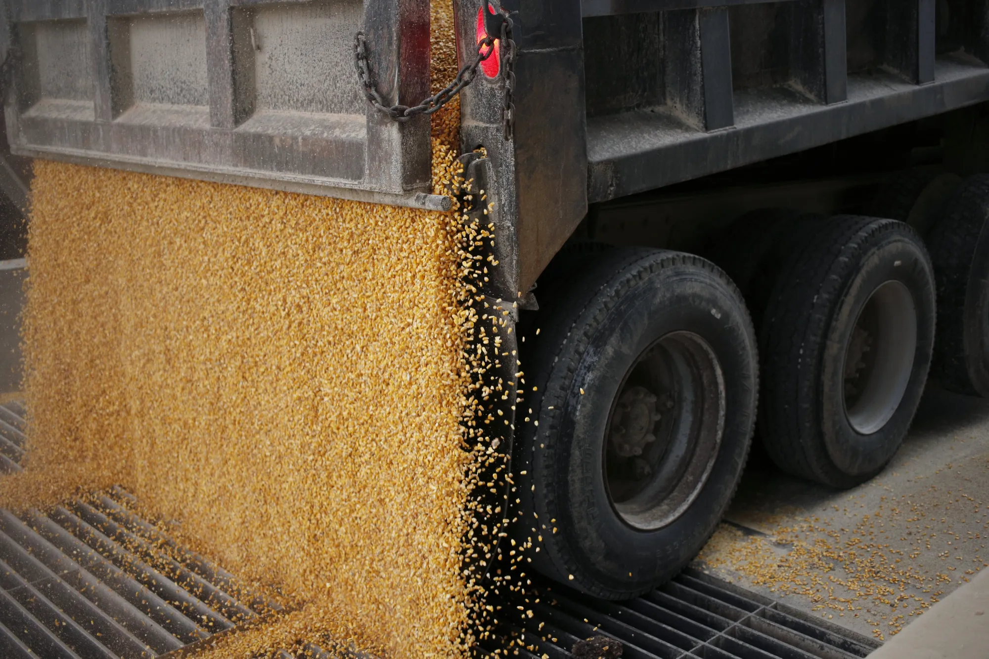 Kokomo Grain Co. Corn Transloading Facility As Trade War Impacts Farmers' Decisions