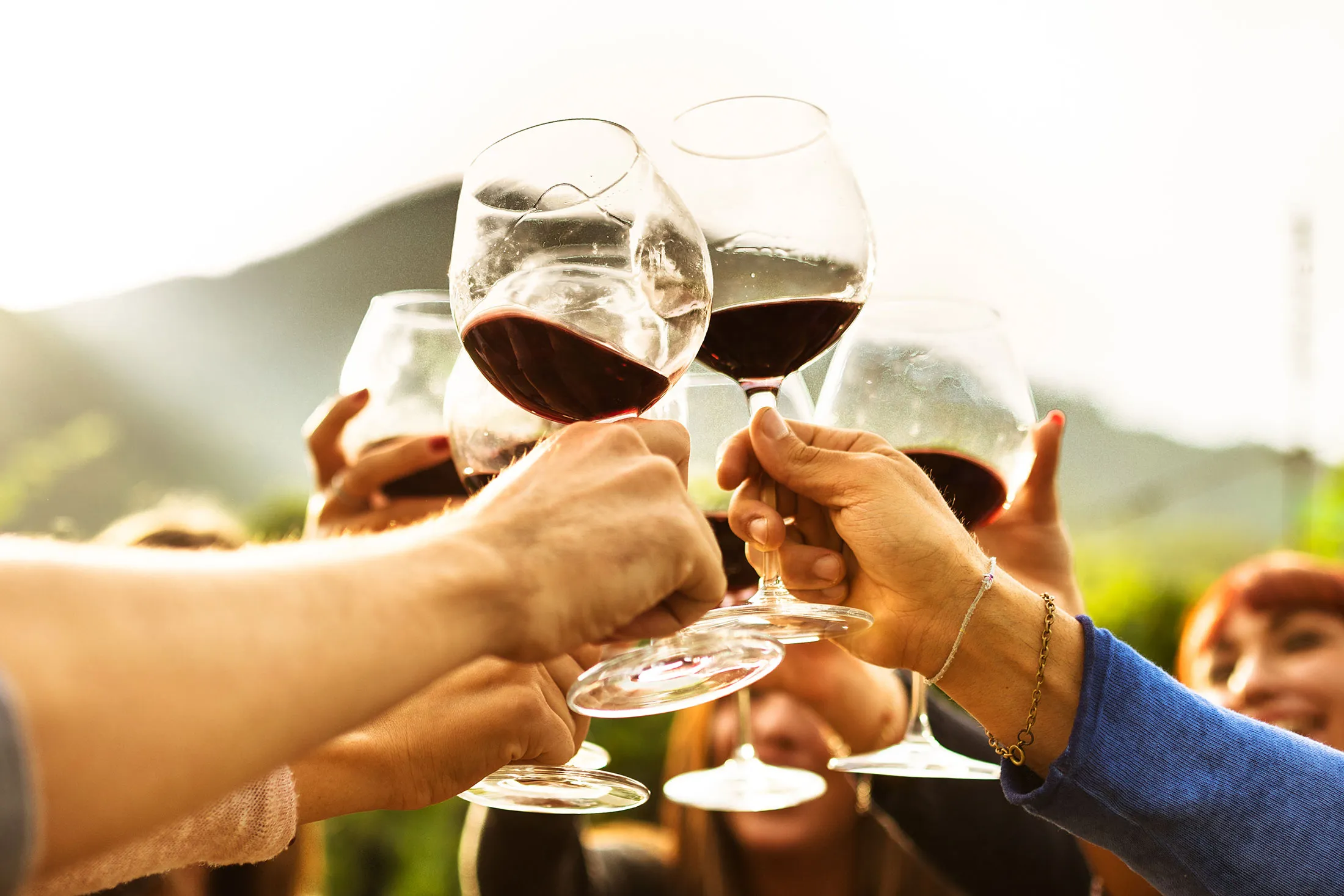 Toasting with red wine