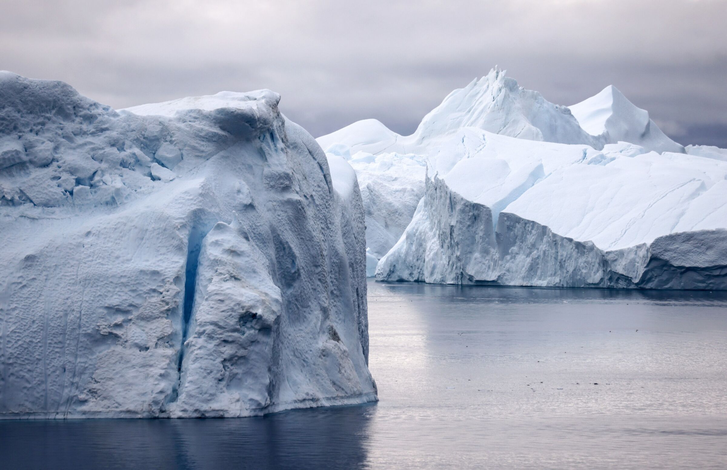 Egy nyugodt tengerben lebegő jéghegyek képe.  A jéghegyek tiszta fehérnek tűnnek, vastag hóréteggel borítva.