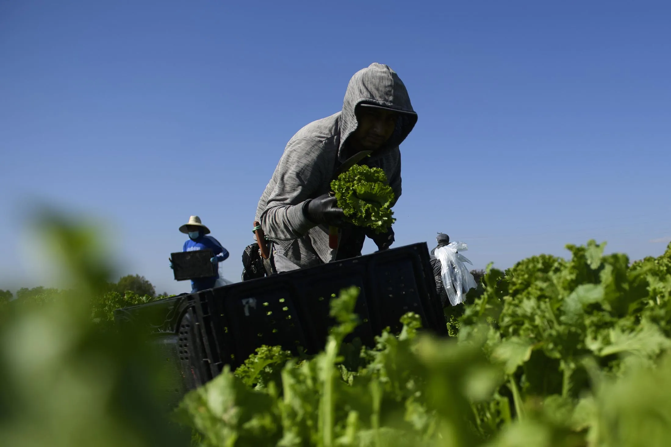 US-VIRUS-HEALTH-FOOD-AGRICULTURE