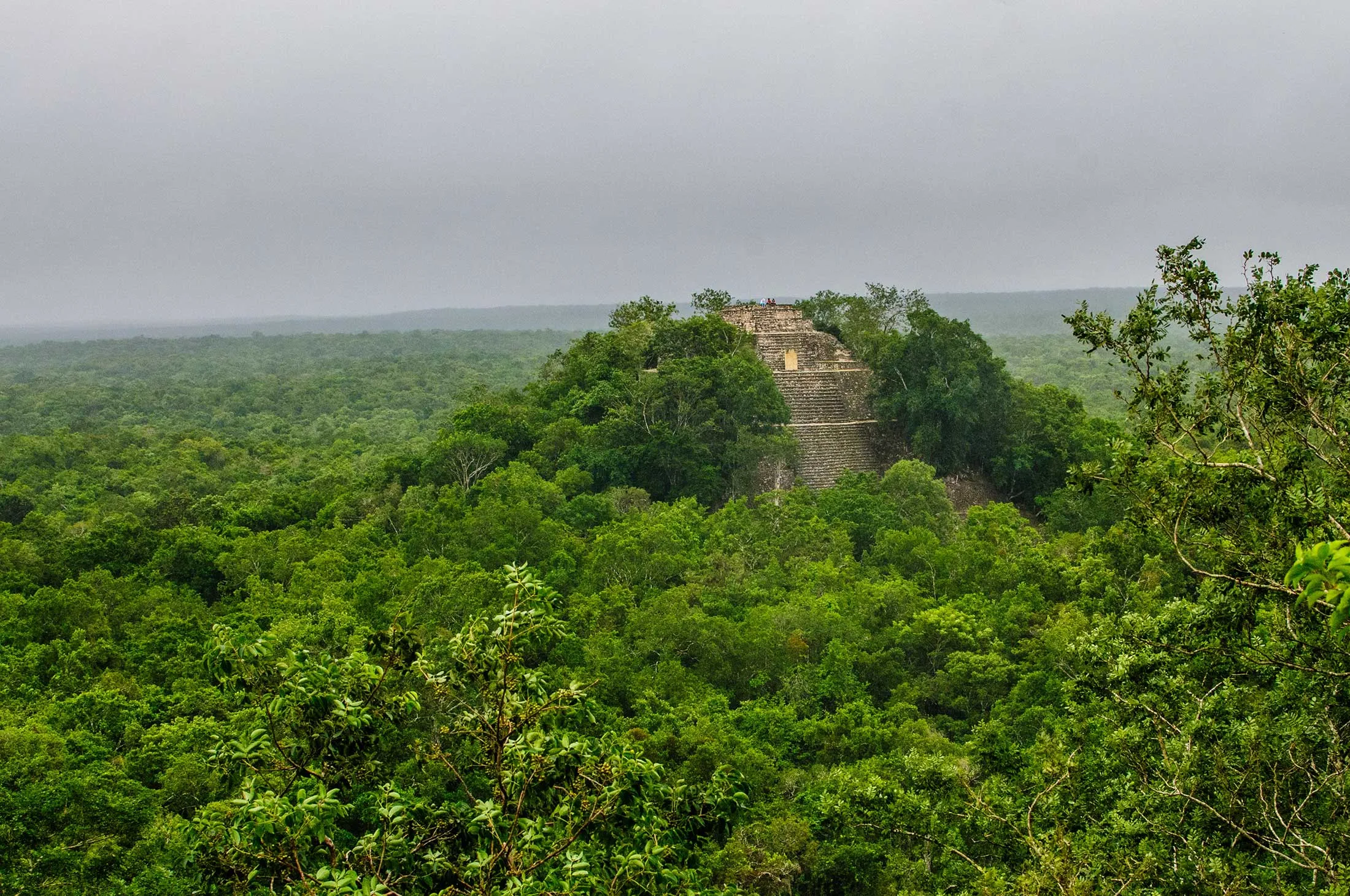 The Calakmul Biosphere Reserve is at the base of the Yucatán Peninsula.&nbsp;